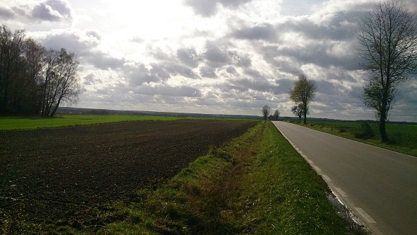 Prosta na Borzechów