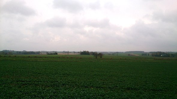 Pole koło Bystrzejowic