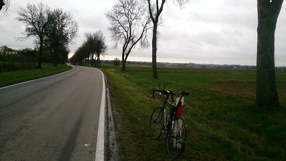 Droga na Bełżyce