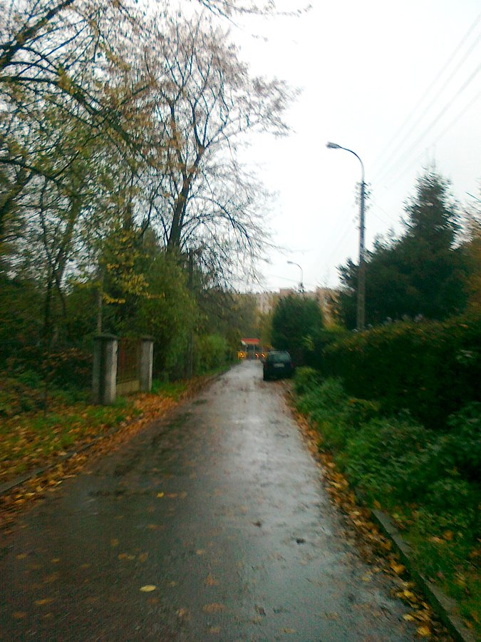 Szaro, ponuro i mokro