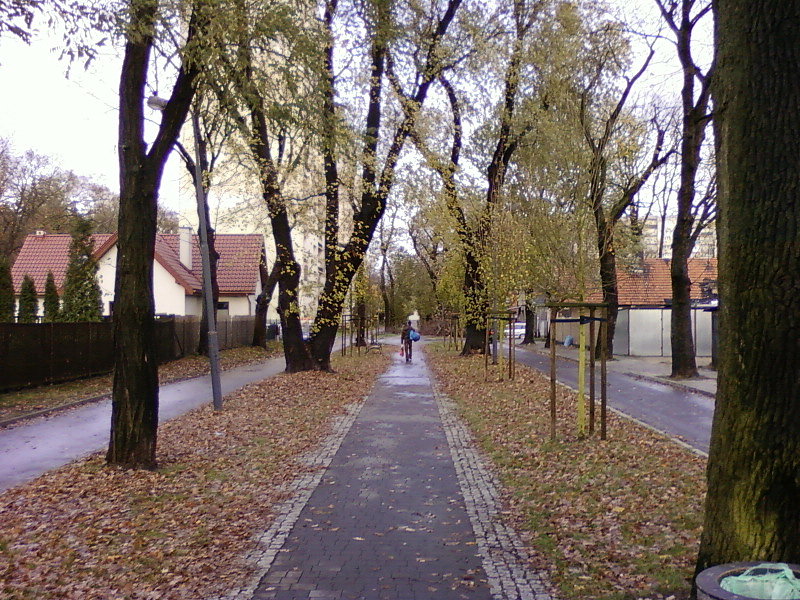 Ul. Ziołowa