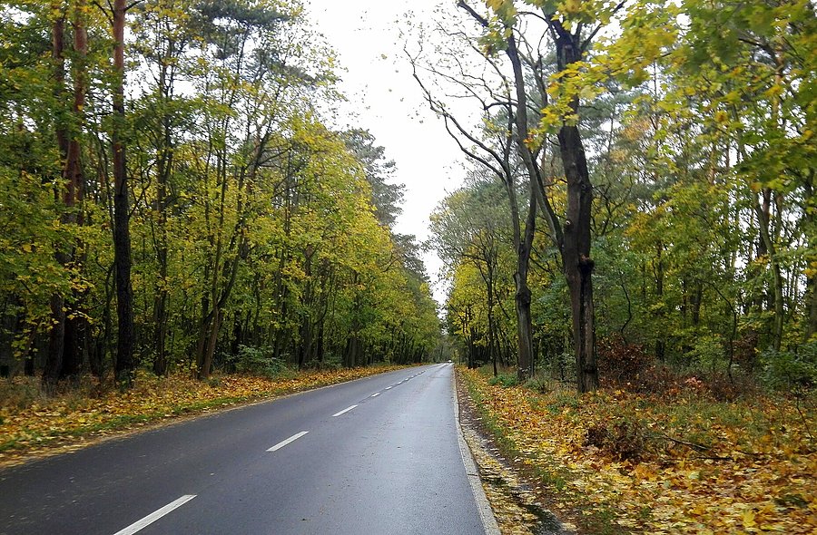 Jeszcze jesień