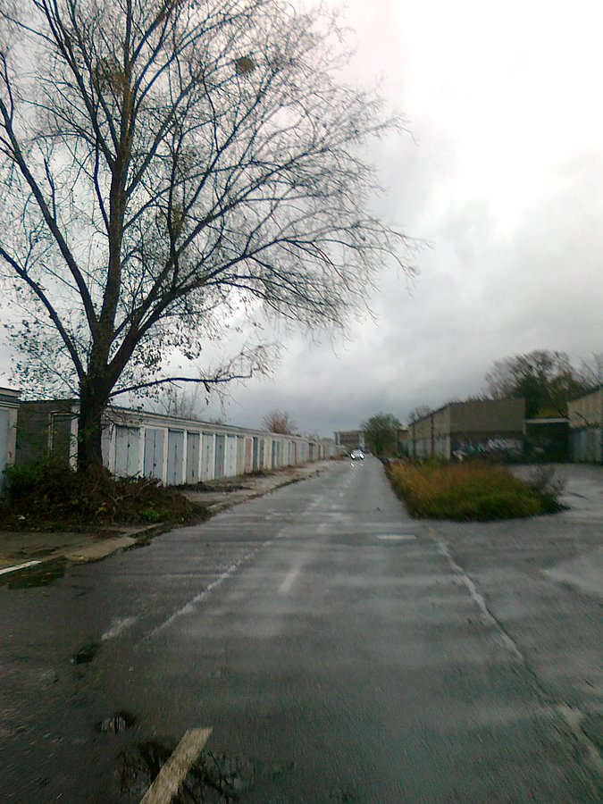 Himalajska