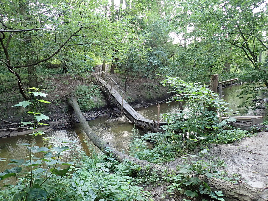 Mazowiecki Park Krajobrazowy. Rzeka Mienia