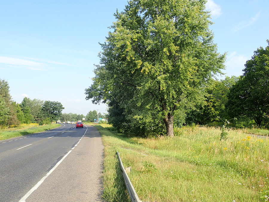 Zbieg czerwonego szlaku z DW 801 (Janów - Brzezinka)
