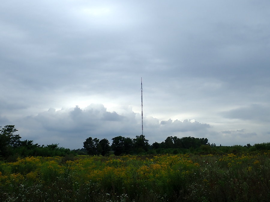 Raszyn. Maszt radiostacji