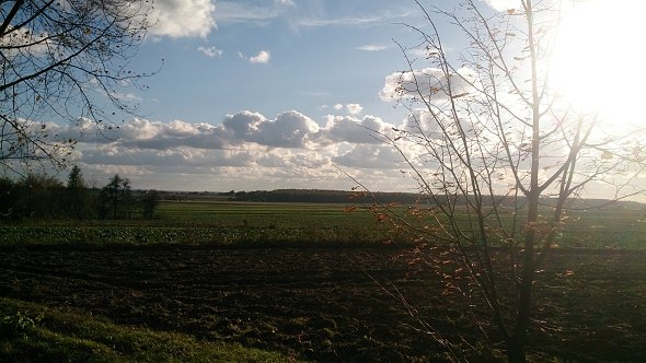 Słonecznie nad polami
