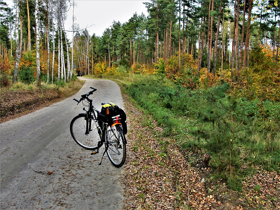 Jesień na rowerze - okolice Tczewa