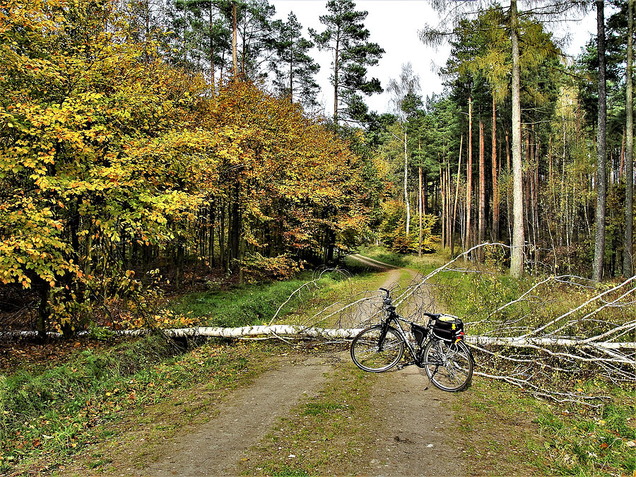 Jesień na rowerze - okolice Tczewa