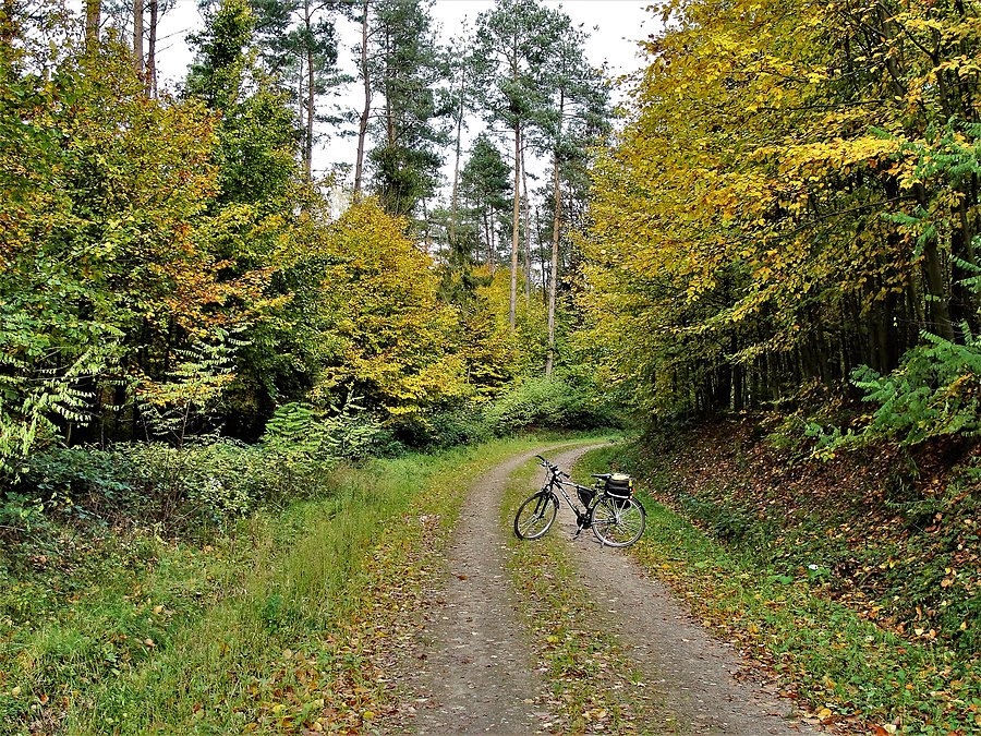 Jesień na rowerze - okolice Tczewa
