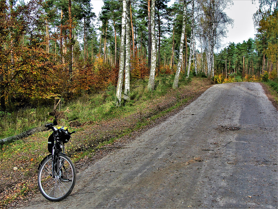 Jesień na rowerze - okolice Tczewa