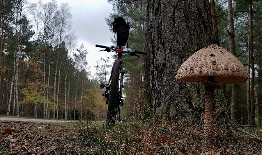 Dojazd pożarowy 32 i kania