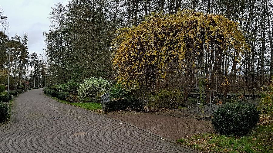 Promenada przy J.Miedwie w Morzyczynie