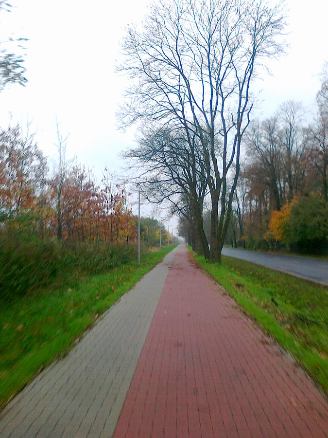 Ddr w Strzykułach