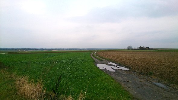 Bezkresne pola