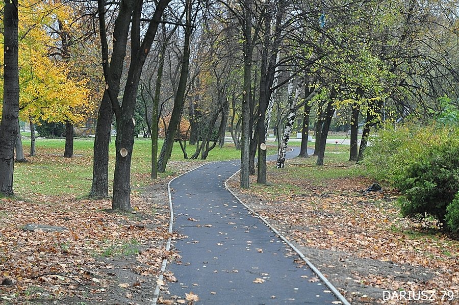 Sosnowiec - Droga Rowerowa (Ulica 3Maja - Park Sielecki)