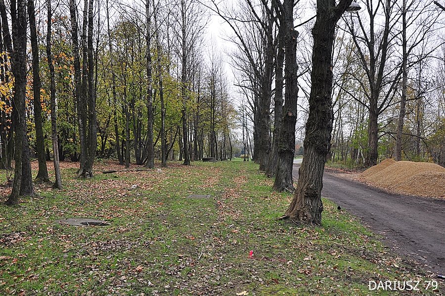 Sosnowiec - Przyszła Droga Rowerowa (Ulica 3Maja - Środula)