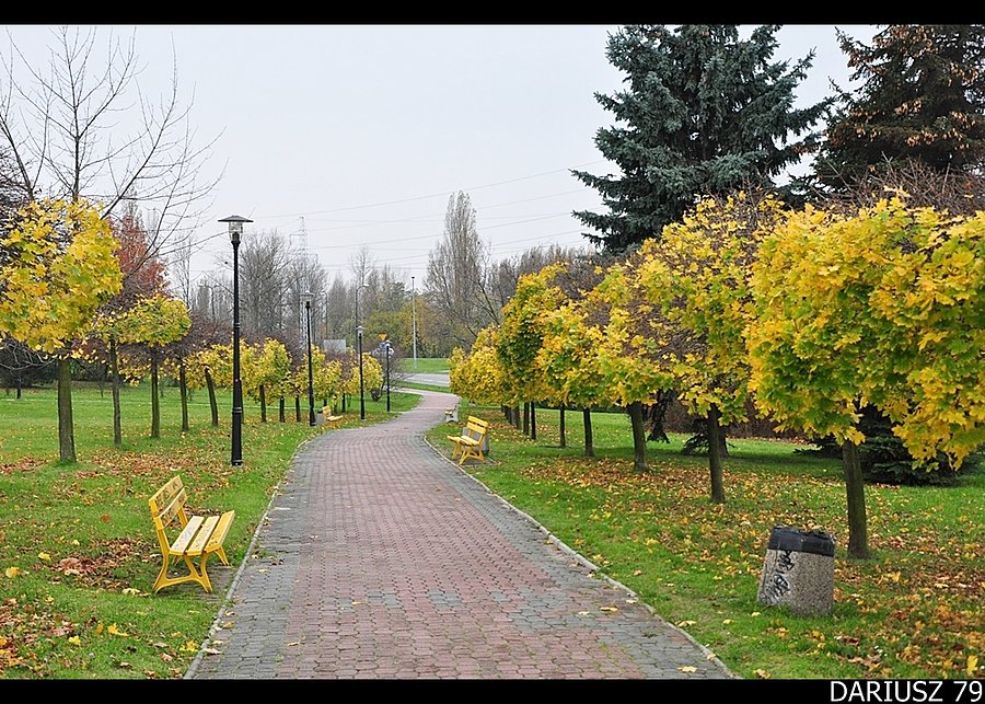 Sosnowiec - Park Środula