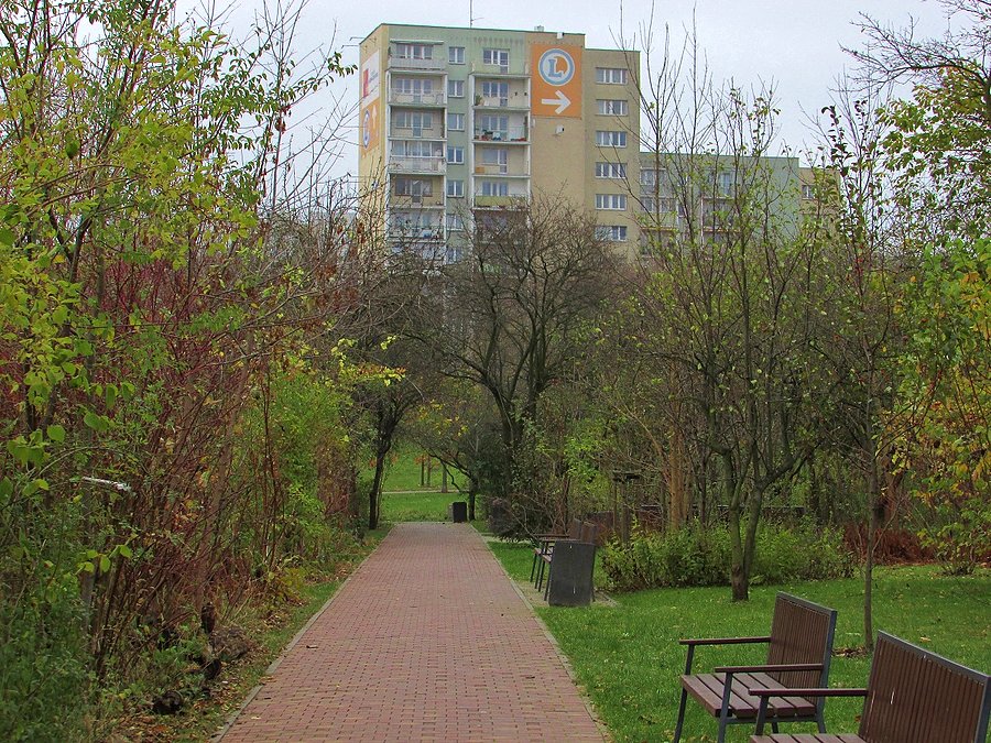 Park im. Romana Kozłowskiego