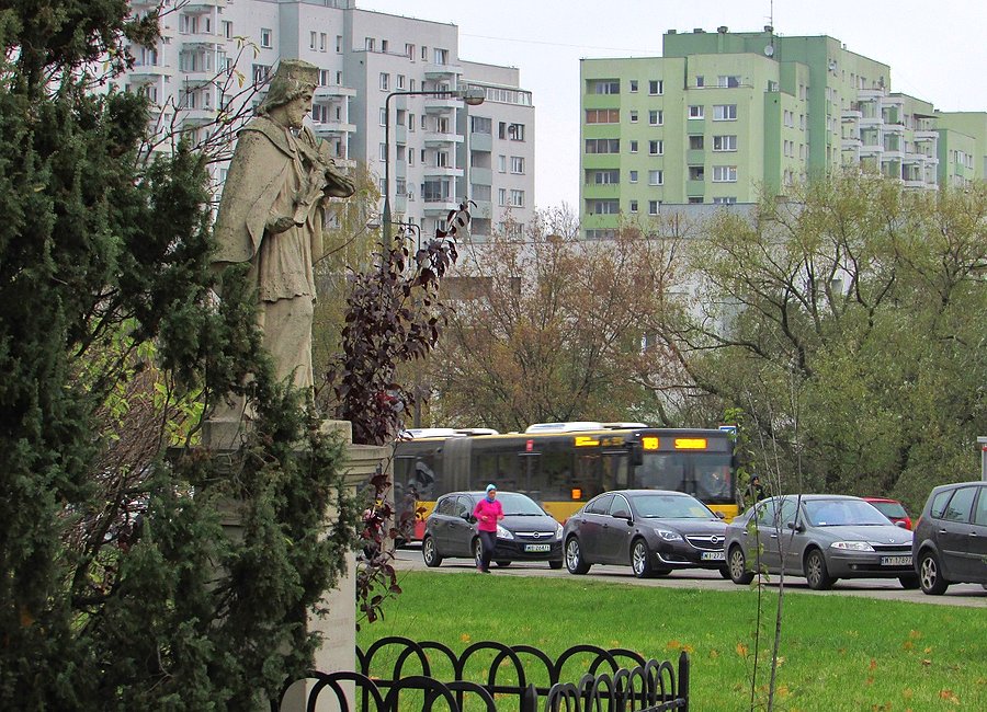 Strażnik Dolinki Służewieckiej