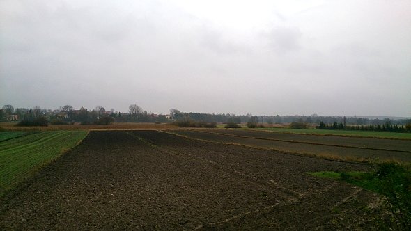 Deszczowo, mokro i błotniście