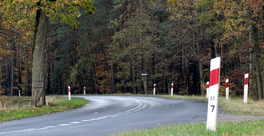 A to jest właśnie słupek 22.7 przy drodze 115 prowadzącej do Dobieszczyna