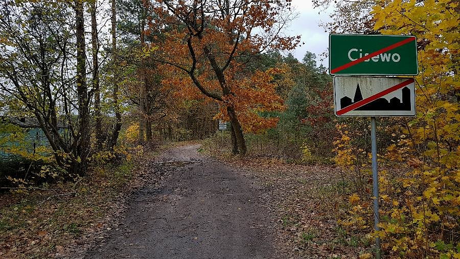 Koniec szosy w Cisewie