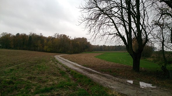 Jesienny klimat
