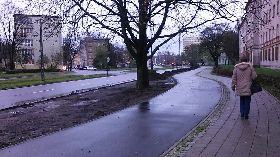 Łódź Zielona