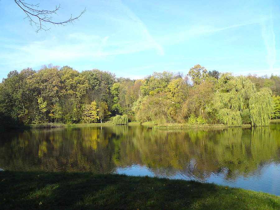 Park Wolności w Brzegu