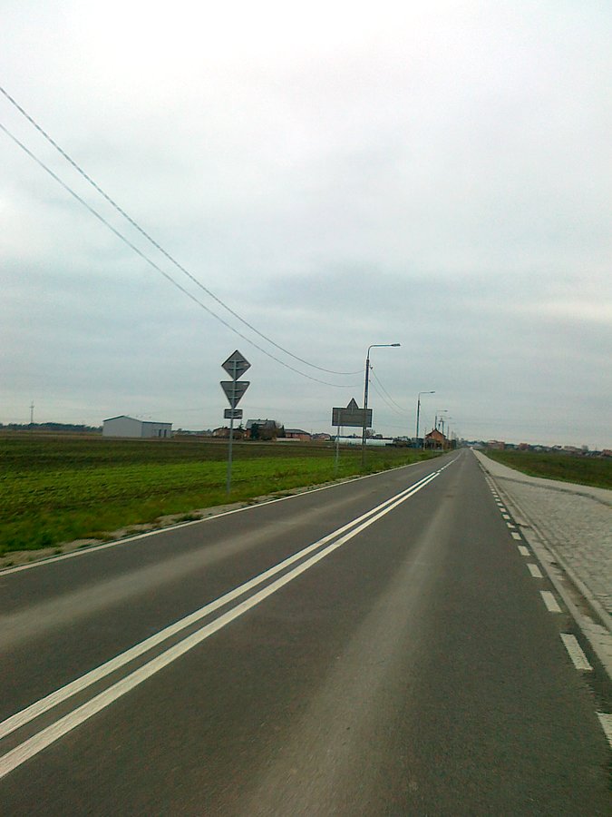 Droga Pogroszew- Borzęcin