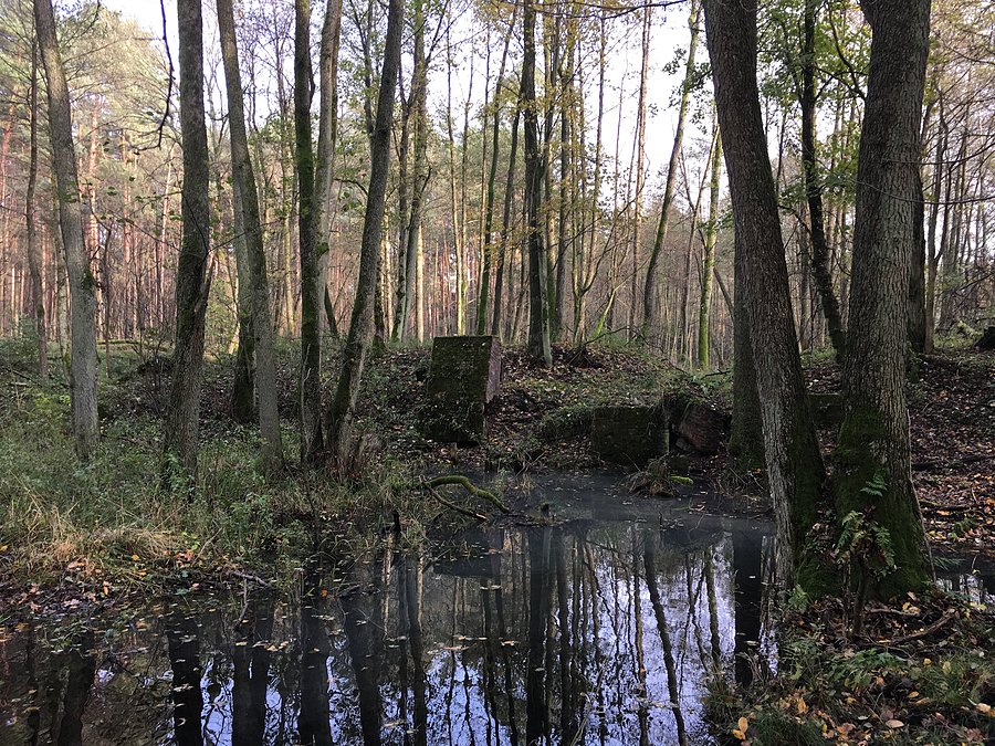 Ruiny Młyna Wilczak nad Smolnicą