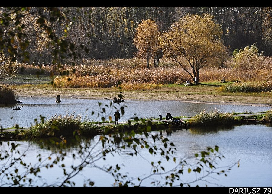 Siemanowice Sląskie - Staw Rzęsa