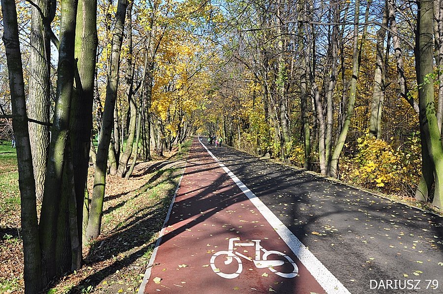 Siemanowice Śląskie - Droga Rowerowa