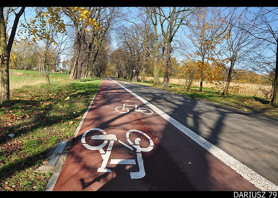 Siemianowice Sląskie - Drogi Rowerowe