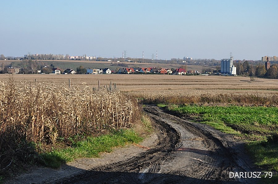 Przełajka - Widok z Wzgórza