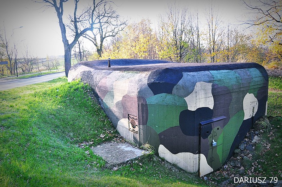 Piekary Śląskie - Dąbrówka Wielka (Schron Bojowy Wzgórze 304,7)