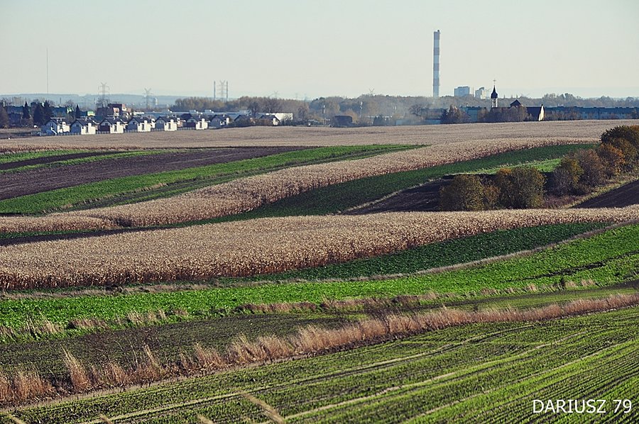 Przełajka - Widok z Wzgórza
