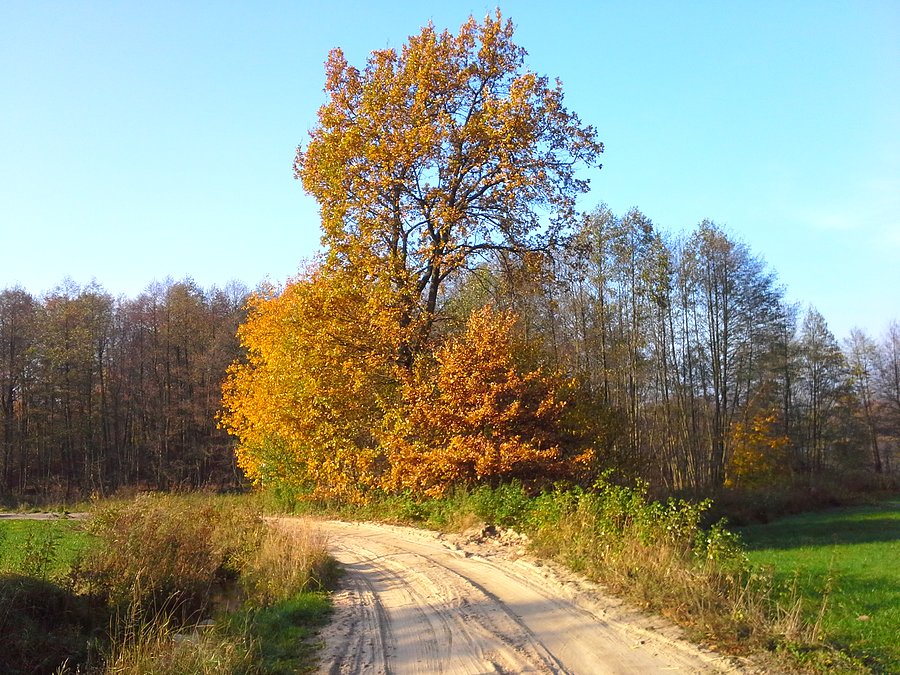 Zdjęcie zrobione od niechcenia