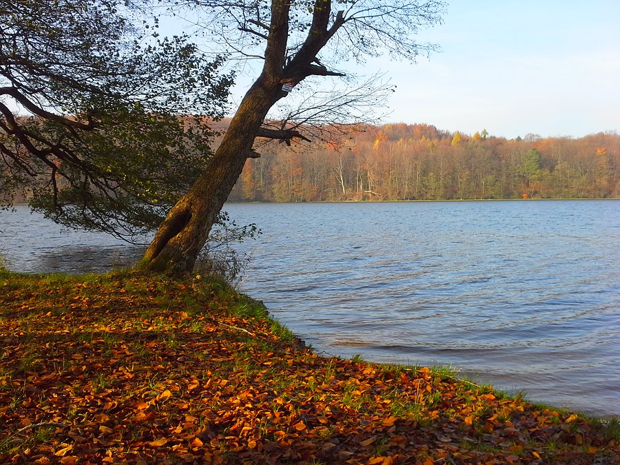 Barwy jesieni