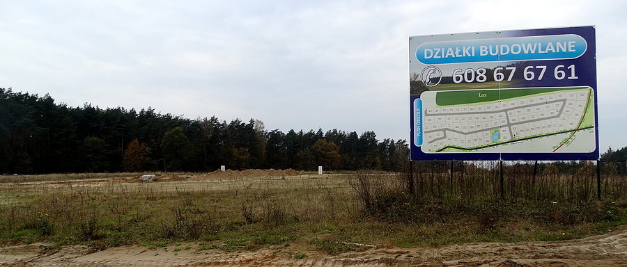 Między Łęgami a Bukiem sory