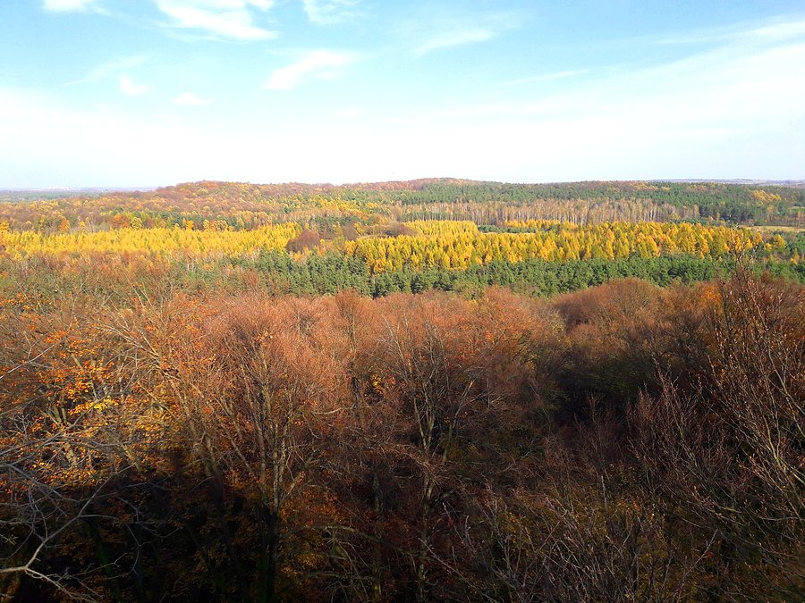 Widok z Zielonej Góry