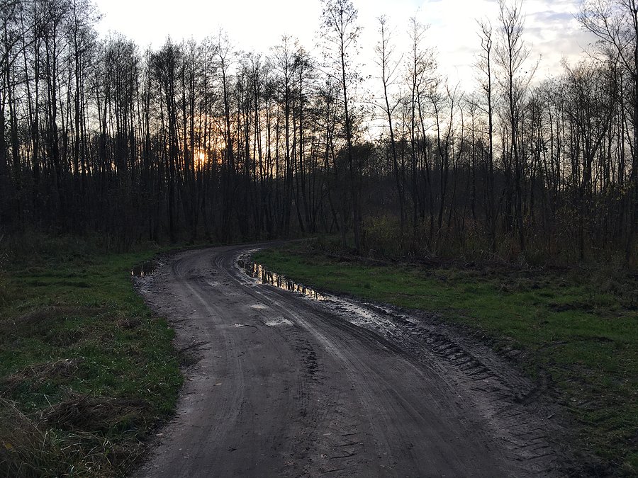 Droga w kierunku śluzy Romanowo