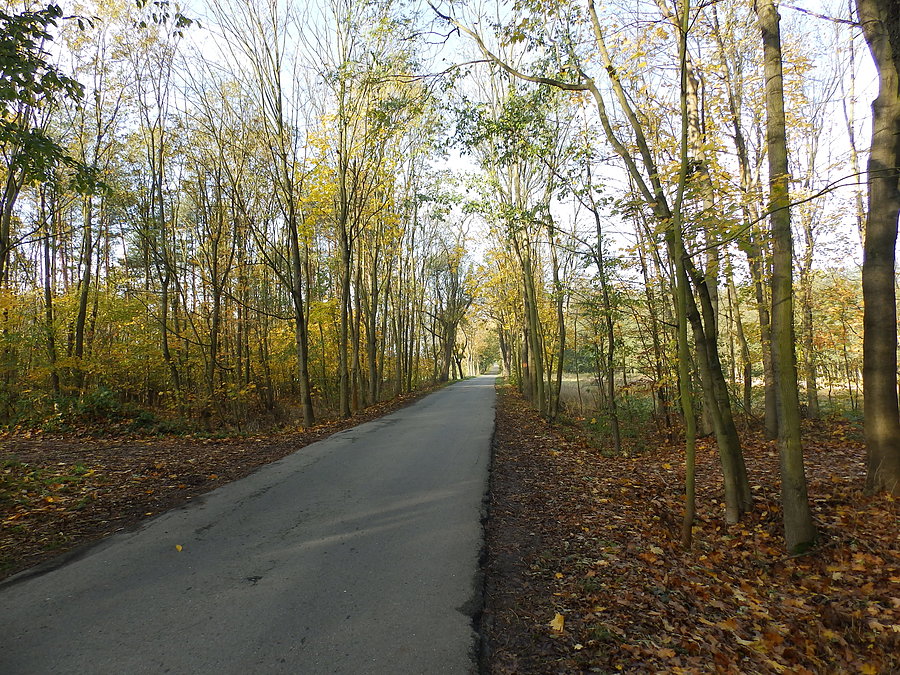 Szosa Sadowice - Stoszyce
