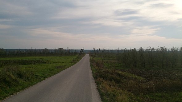 Długa prosta