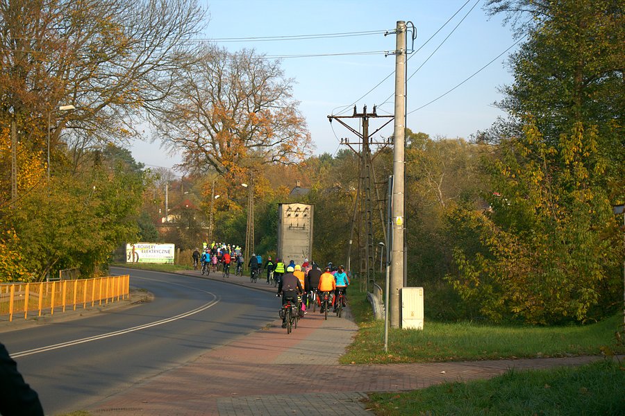 W pogoni za lisicą