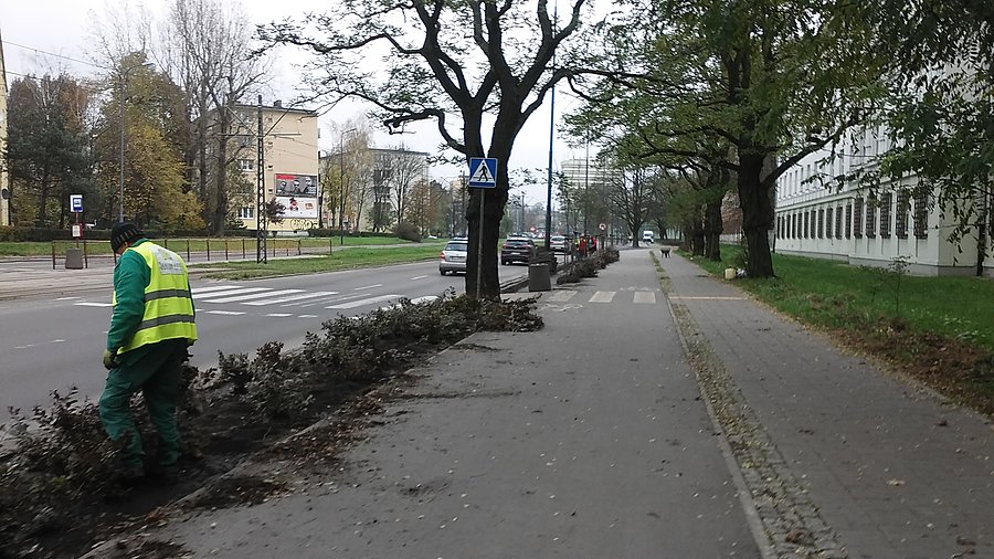 Łódź, Zielona
