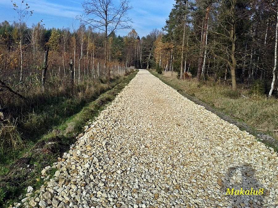 Katorga z Mikołeski do Bruśka
