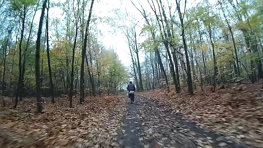 Niektórzy rowerzyści jadą w "moim" kierunku ;)