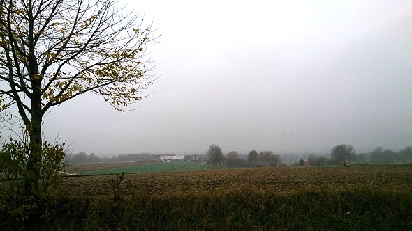 Mgły nad polami